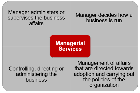 MANAGERIAL SERVICES