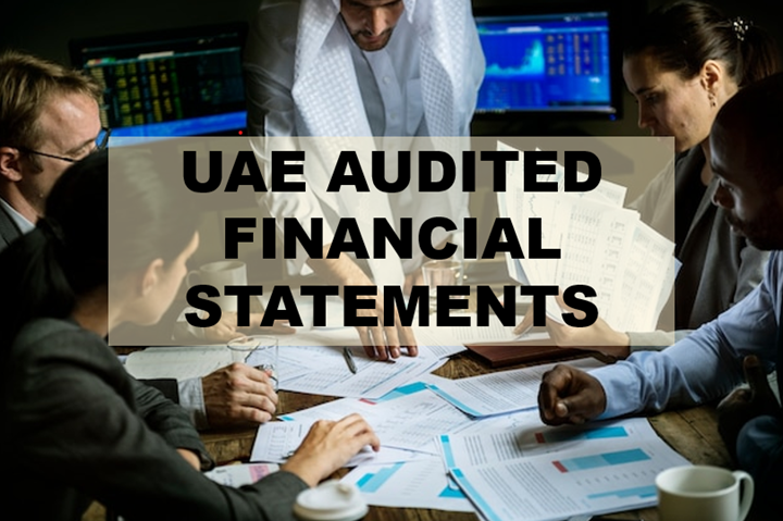 UAE Audited Financial Statements